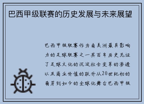 巴西甲级联赛的历史发展与未来展望